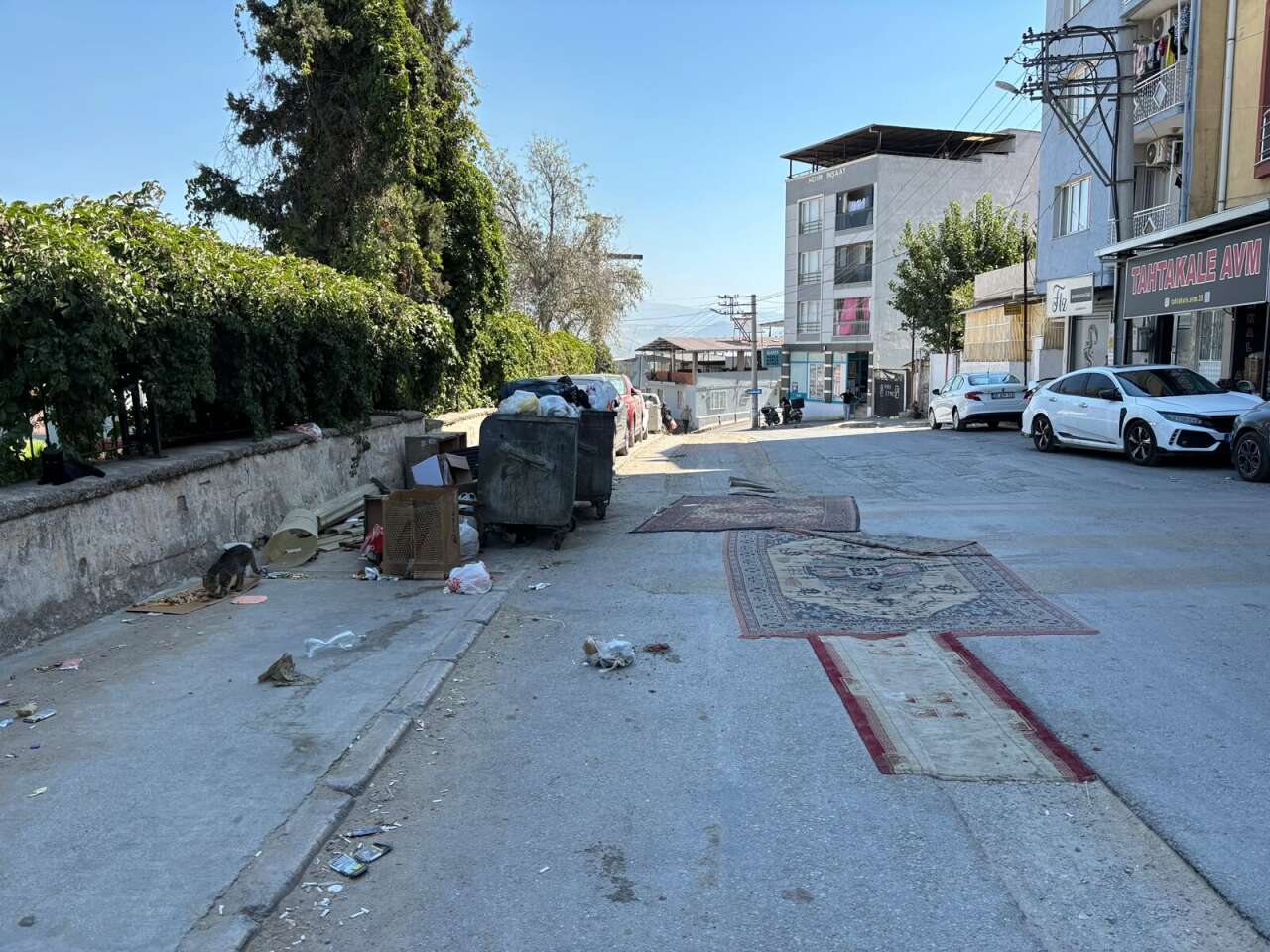 Doğalgaz geldi, huzur gitti! Mahalleli yollara halı serdi 11